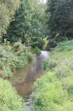 0068 Near Eichenberg Sept 2010 (Large)